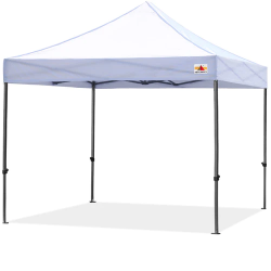 10X10 Canopy