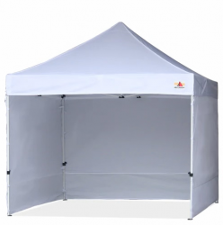 10X10 Canopy