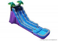 20' Tropical Paradise Dual Waterslide