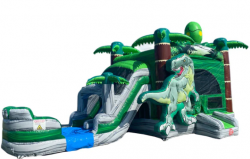 2 Lane T-Rex Combo Wet n Dry Bounce House